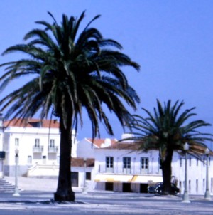 Nazara